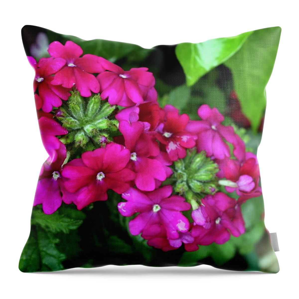 Flower Throw Pillow featuring the photograph Flower #42 by Jackie Russo