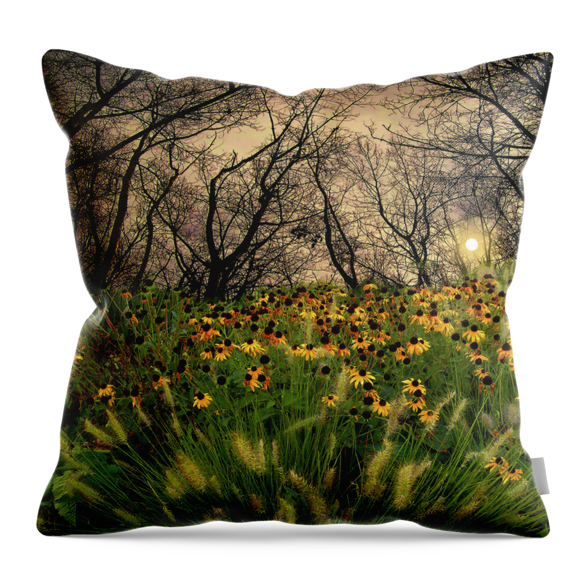 Trees Throw Pillow featuring the photograph 4209 by Peter Holme III