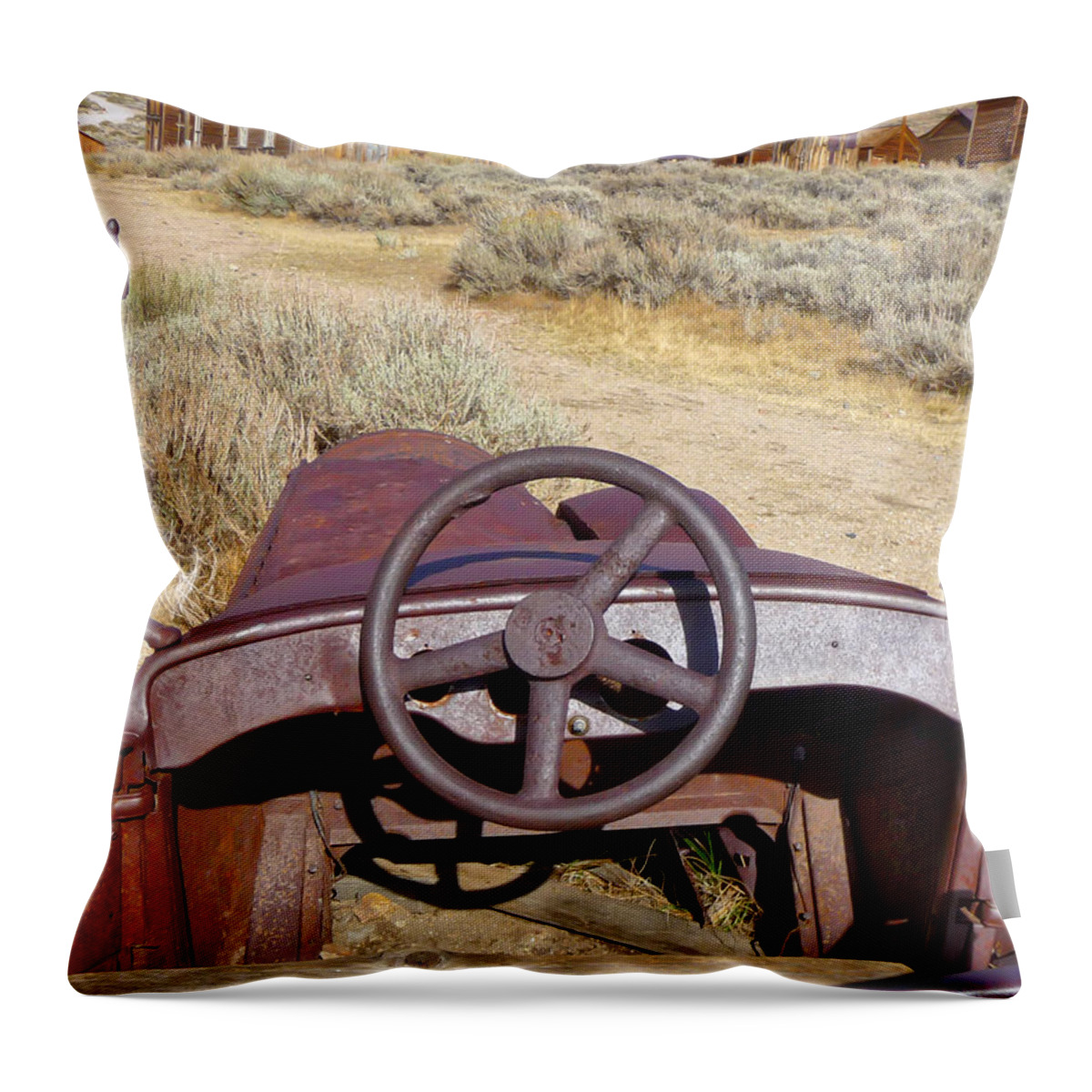 Bodie Throw Pillow featuring the photograph Nonverbal #43 by Steven Lapkin