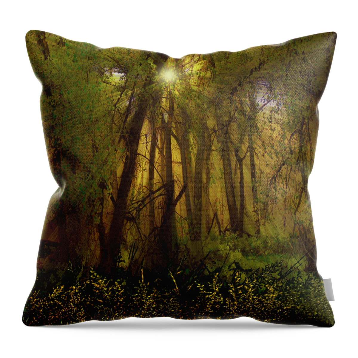 Trees Throw Pillow featuring the photograph 4368 by Peter Holme III