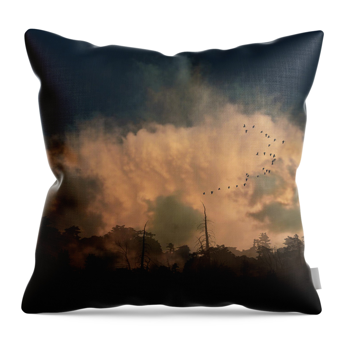 Trees Throw Pillow featuring the photograph 4382 by Peter Holme III