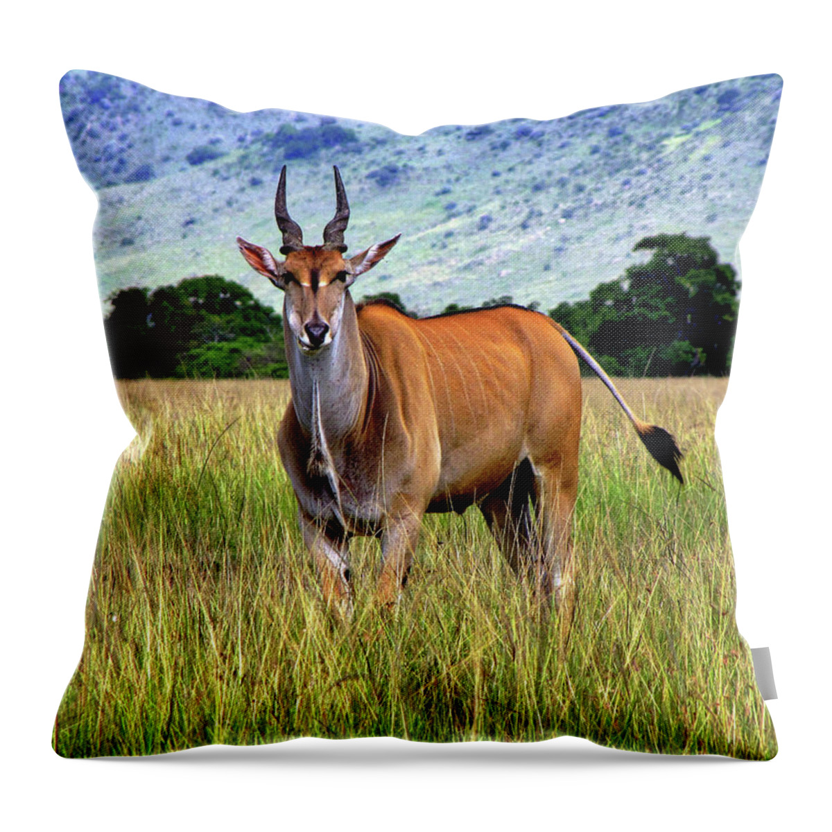 Kenya Throw Pillow featuring the photograph Kenya #44 by Paul James Bannerman