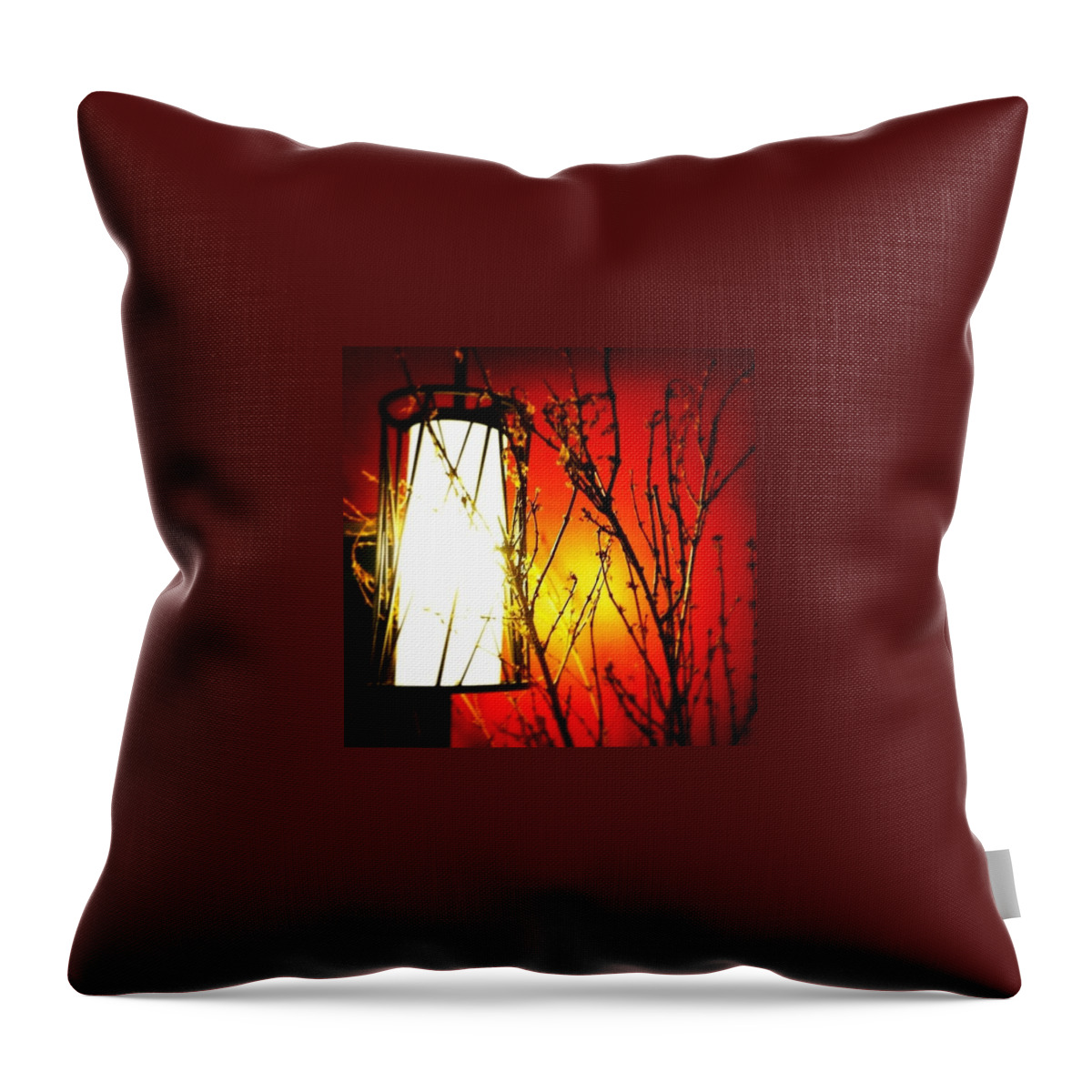 Light Throw Pillow featuring the photograph Asian Mood by Joan McCool