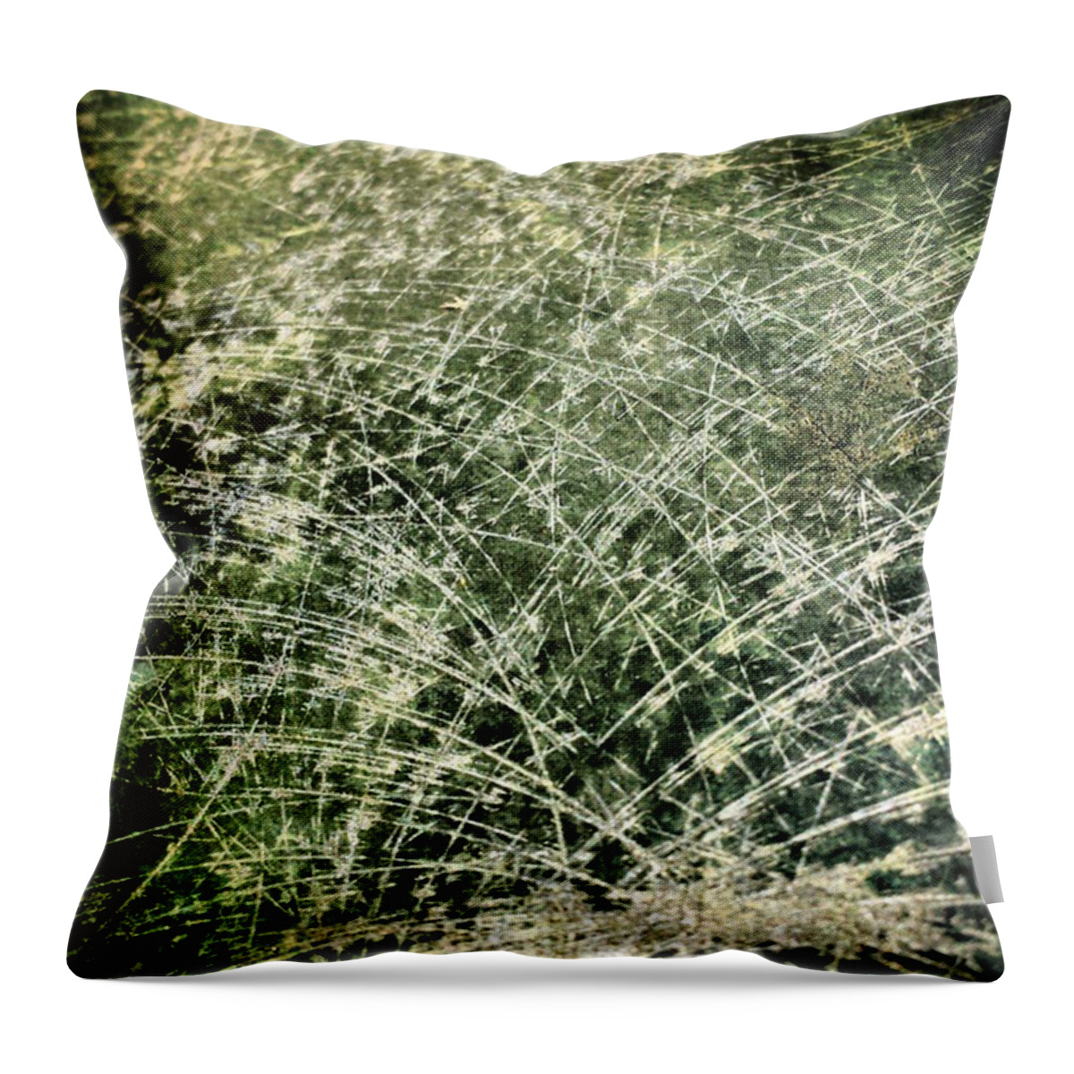 Beautiful Throw Pillow featuring the photograph #abstract #art #abstractart #46 by Jason Roust