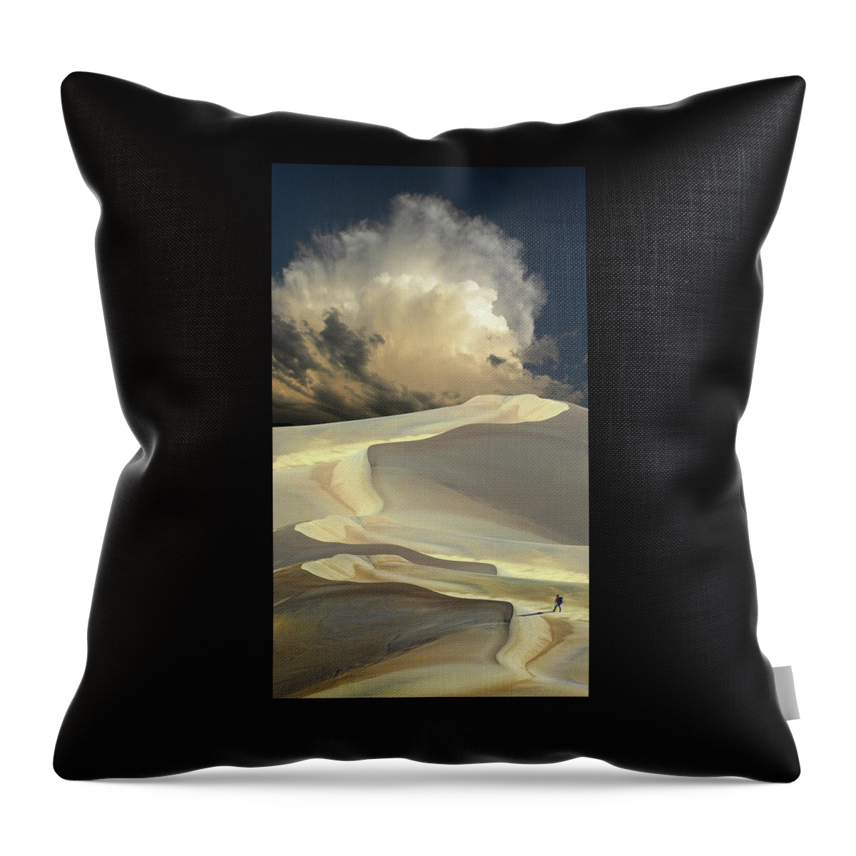 Dunes Throw Pillow featuring the photograph 4746 by Peter Holme III