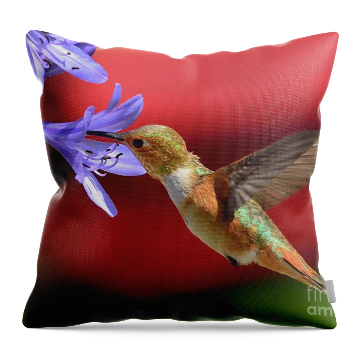 Hummingbird Throw Pillow featuring the photograph Hummingbird #49 by Marc Bittan