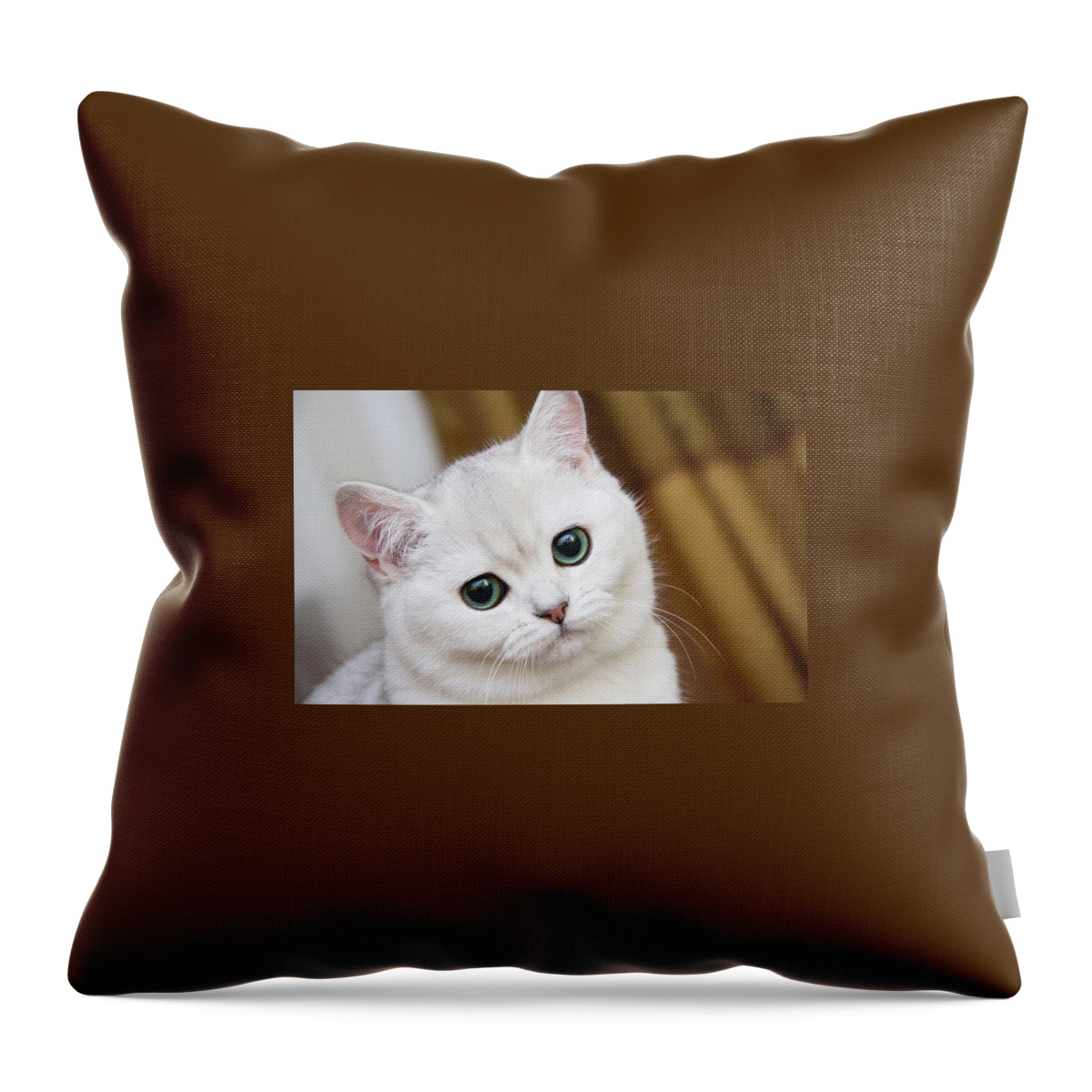 Cat Throw Pillow featuring the photograph Cat #493 by Jackie Russo