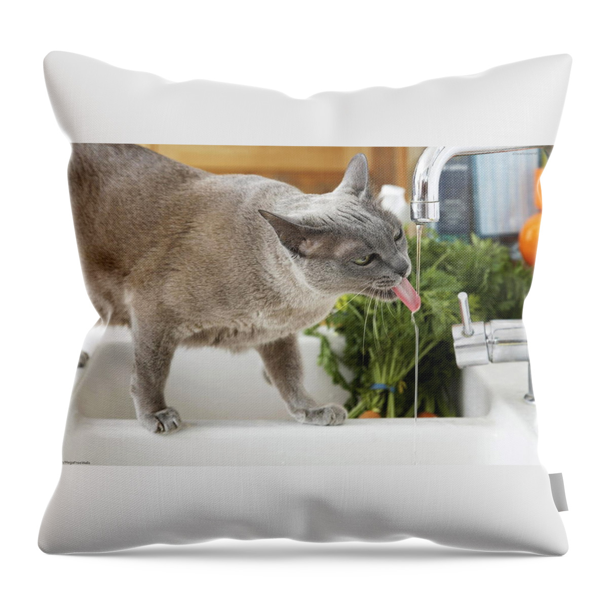 Cat Throw Pillow featuring the photograph Cat #497 by Jackie Russo