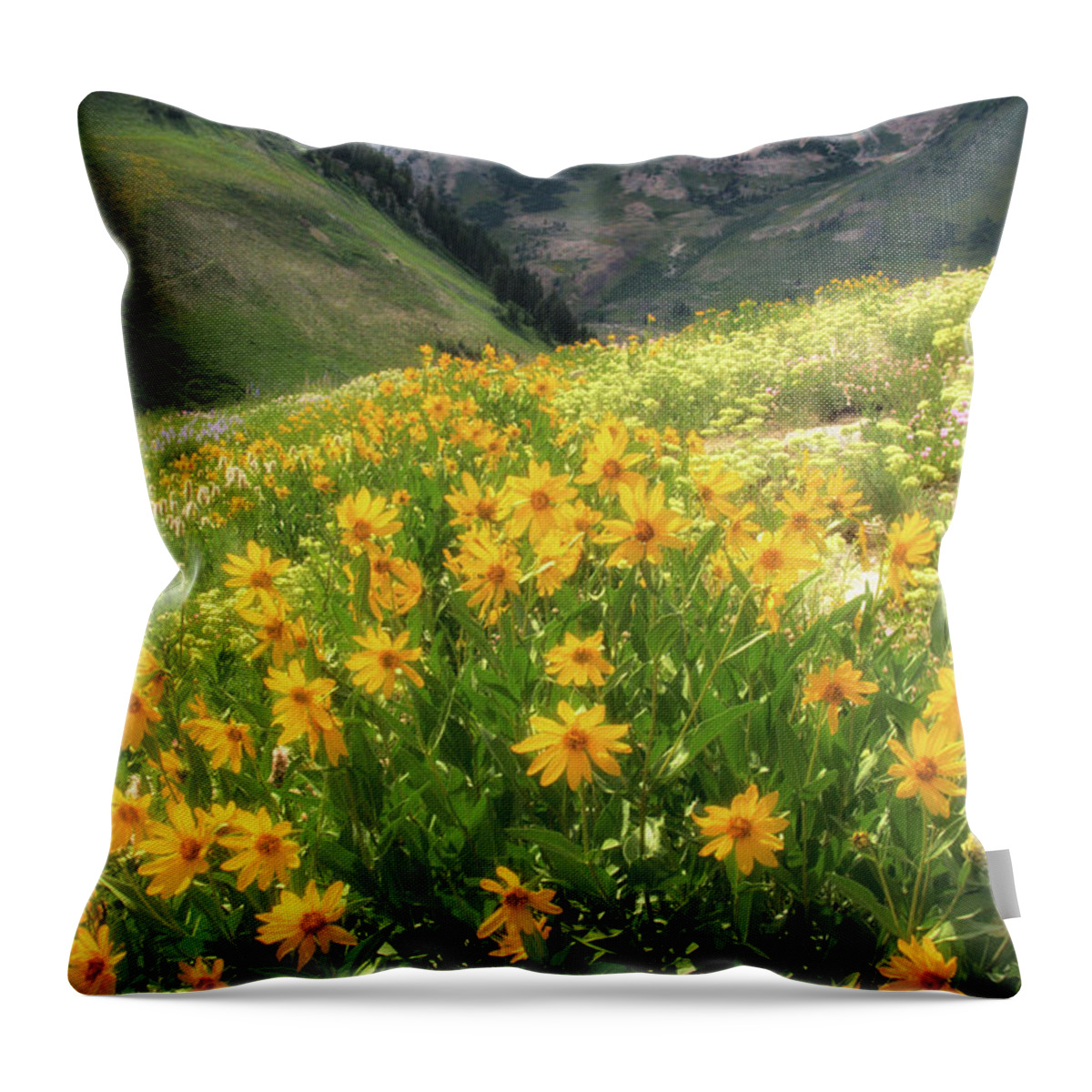 Throw Pillow featuring the photograph Albion Basin Wildflowers #5 by Douglas Pulsipher