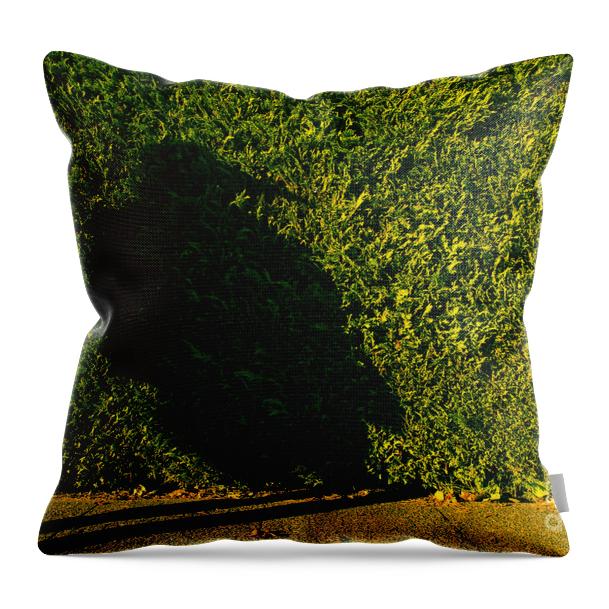 Abnormal Throw Pillow featuring the photograph Bird Woman silhouetted #5 by Jim Corwin