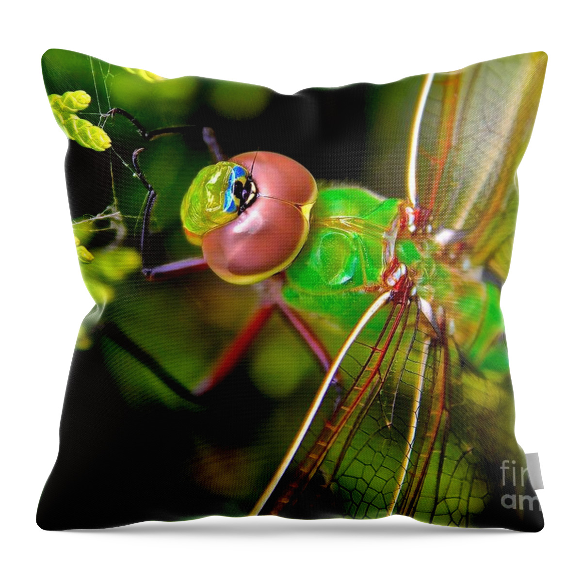 Common Green Draner Throw Pillow featuring the photograph Common green draner #6 by Elisabeth Derichs