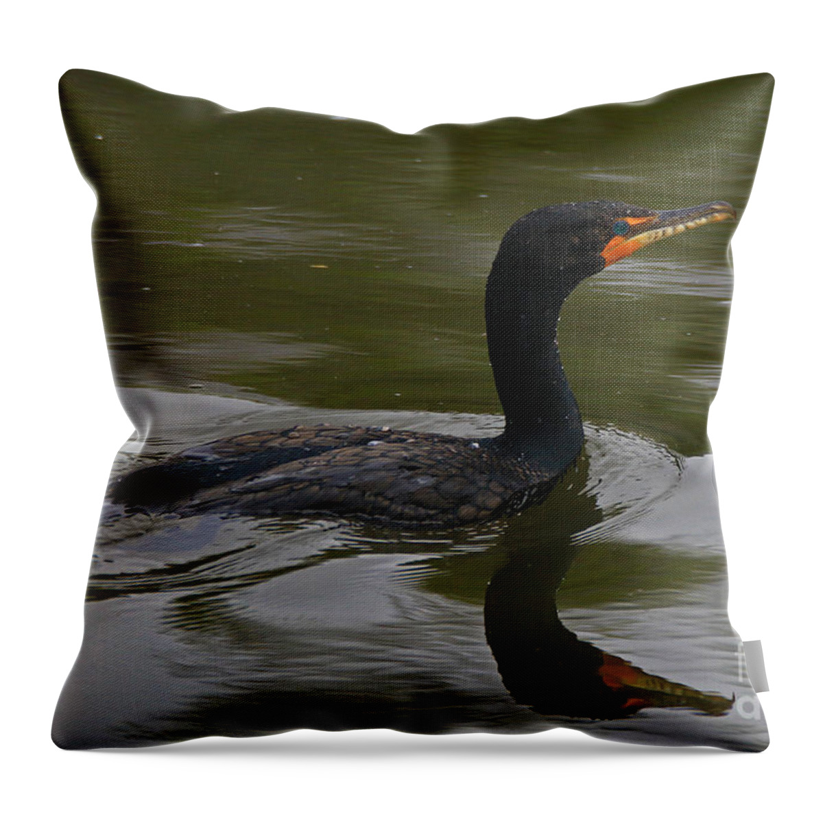 Double Throw Pillow featuring the photograph Big Blue Eyes by Craig Corwin