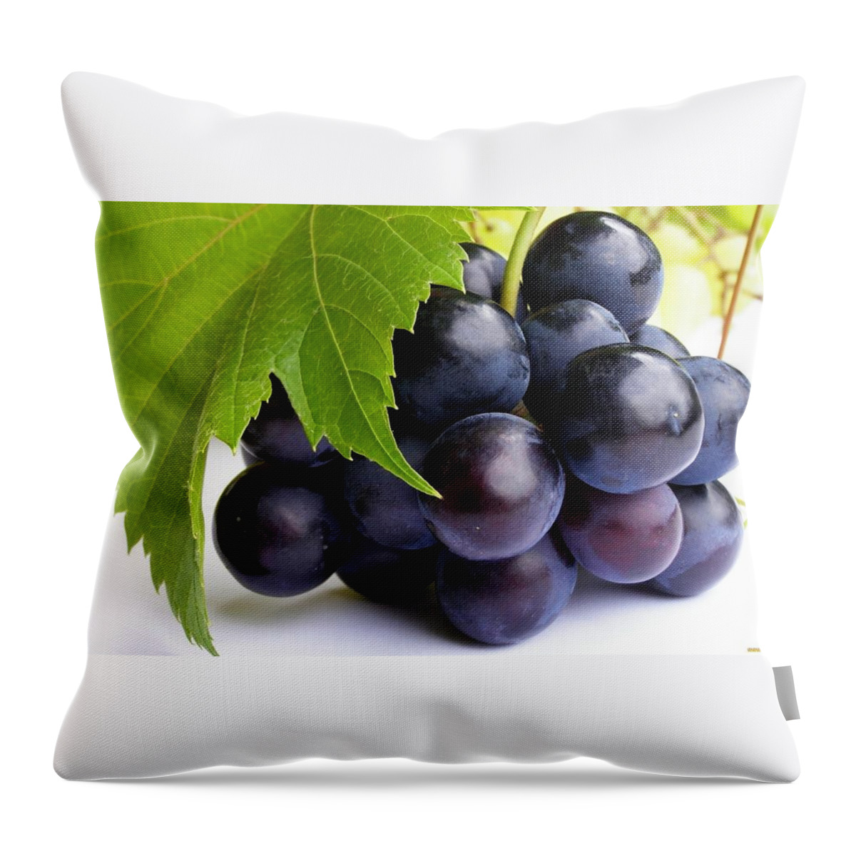 Grapes Throw Pillow featuring the photograph Grapes #5 by Jackie Russo