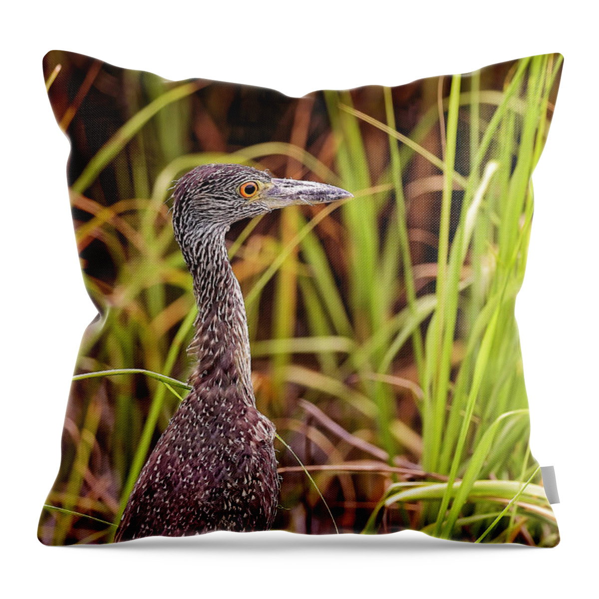 Animal Throw Pillow featuring the photograph Green Heron #5 by Peter Lakomy