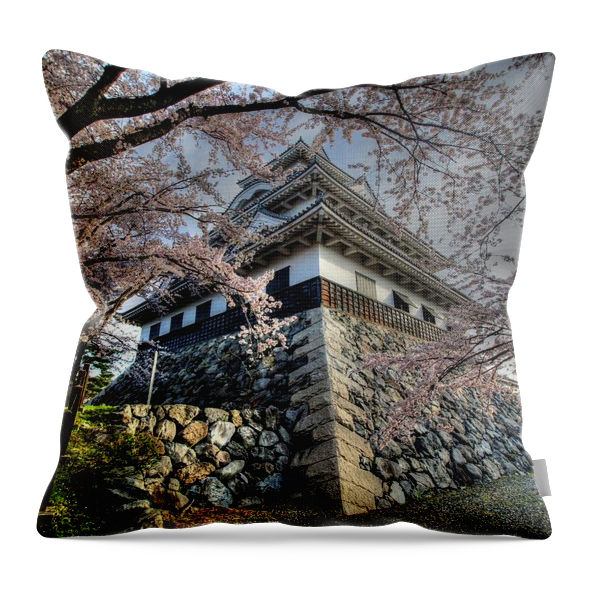 Nagahama Japan Throw Pillow featuring the photograph Nagahama Japan #5 by Paul James Bannerman