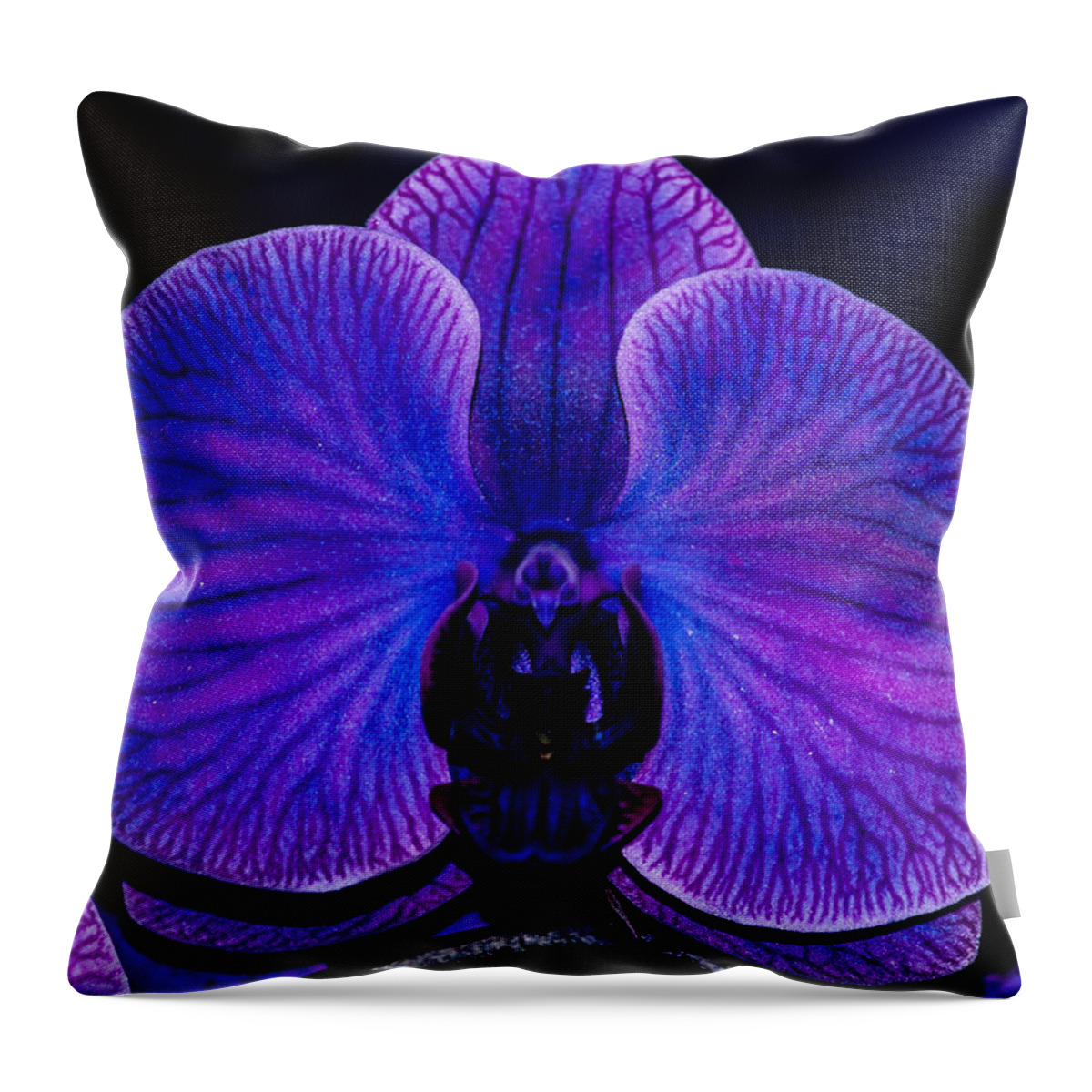 Orchid Throw Pillow featuring the photograph Orchid #11 by Gerald Kloss