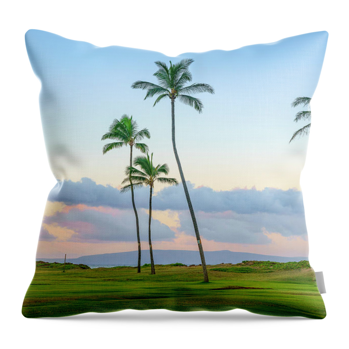 Beautiful Throw Pillow featuring the photograph 5 Palms by Greg Mitchell Photography
