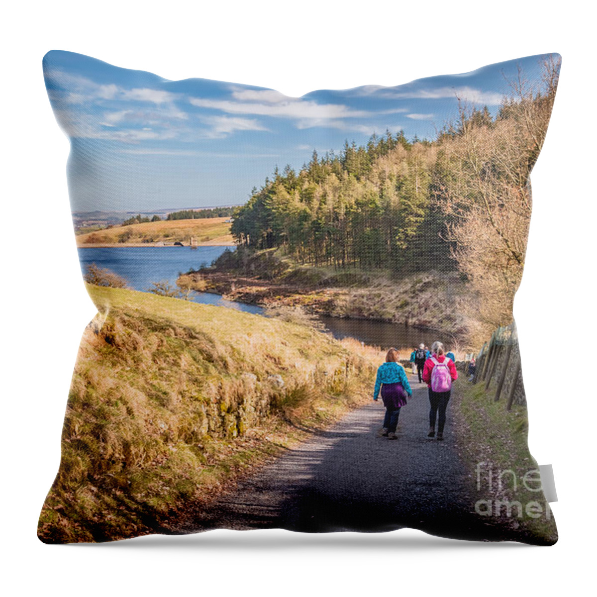 D90 Throw Pillow featuring the photograph Pendle Hill Walk, North Yorkshire, UK #5 by Mariusz Talarek