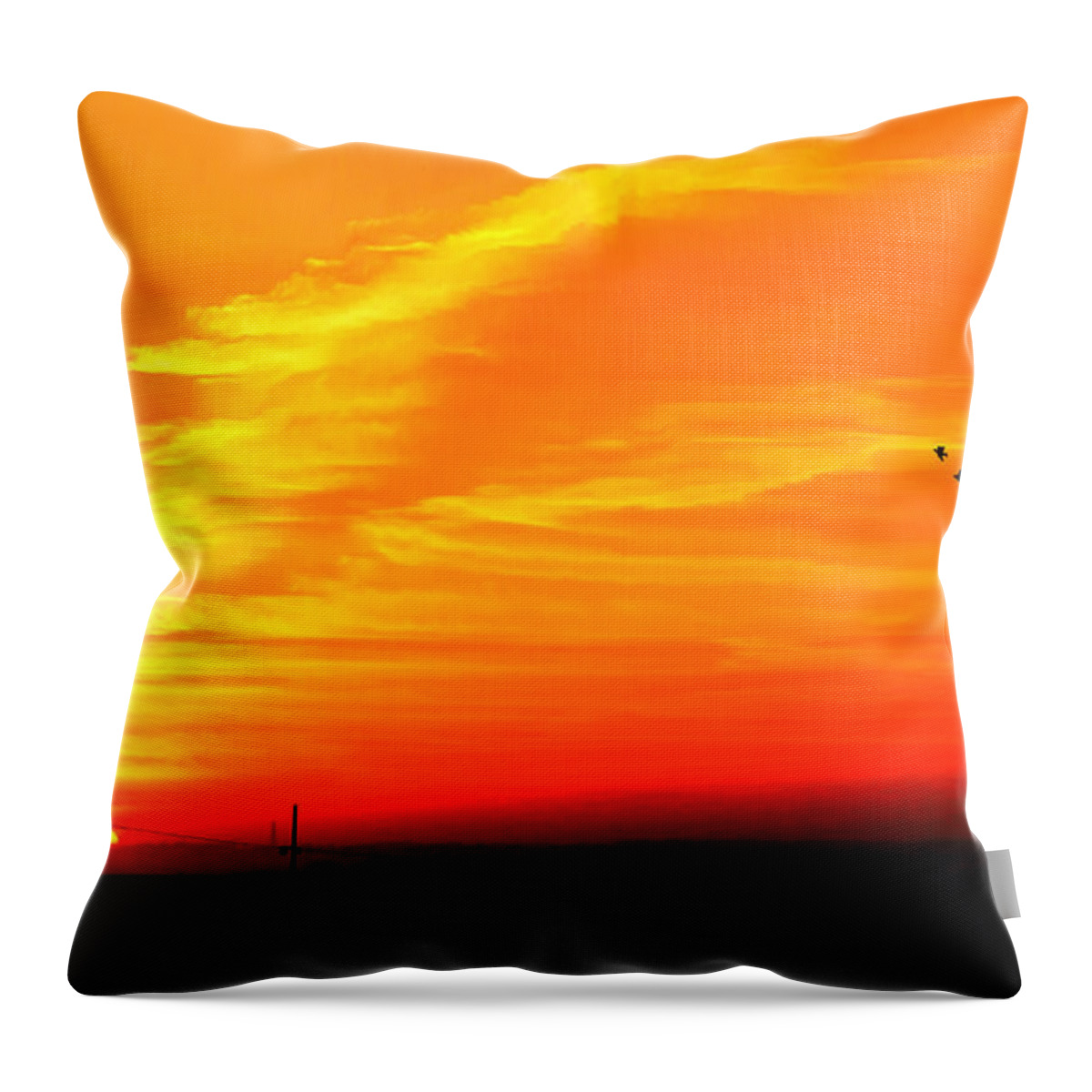 Sunset Throw Pillow featuring the photograph Sunset #5 by Charuhas Images