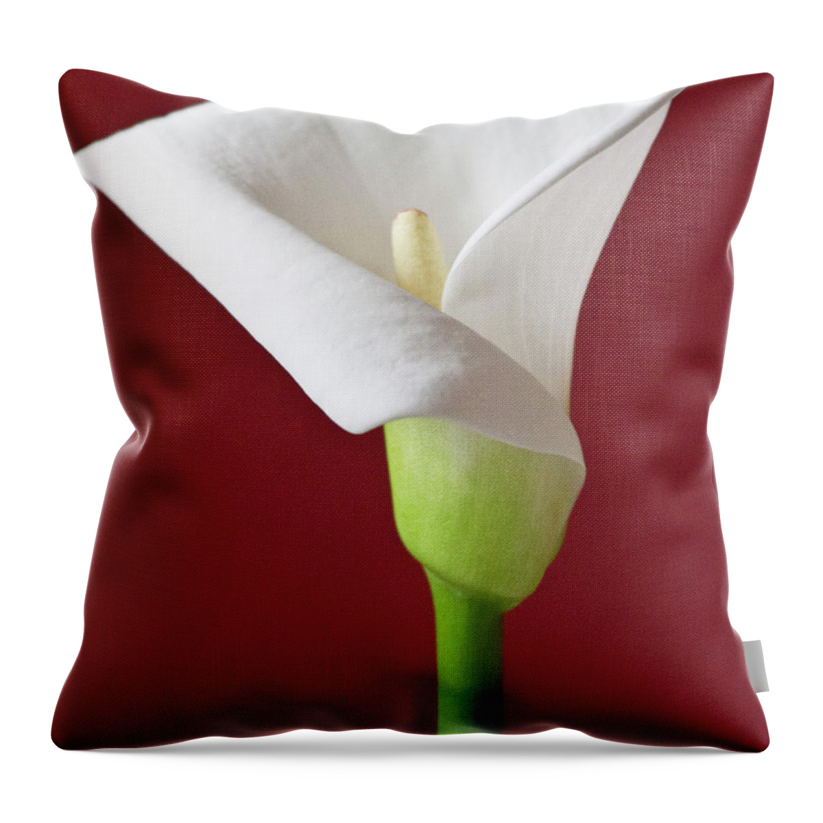 Calla Throw Pillow featuring the photograph White Calla #5 by Heiko Koehrer-Wagner