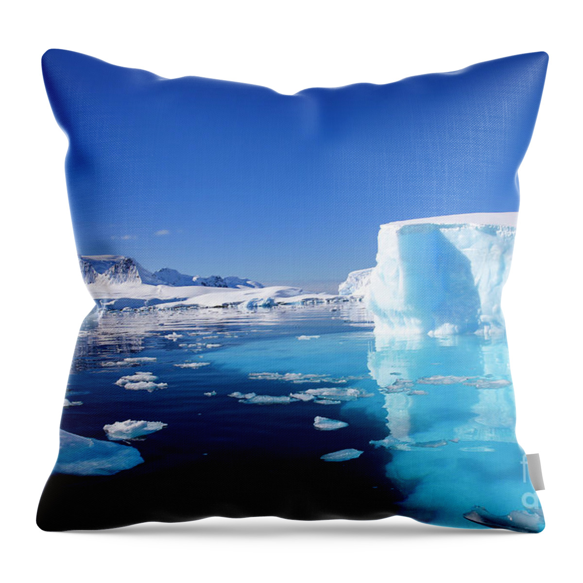 Landscapes Throw Pillow featuring the photograph Wilhelmina Bay Antarctica #5 by Lilach Weiss