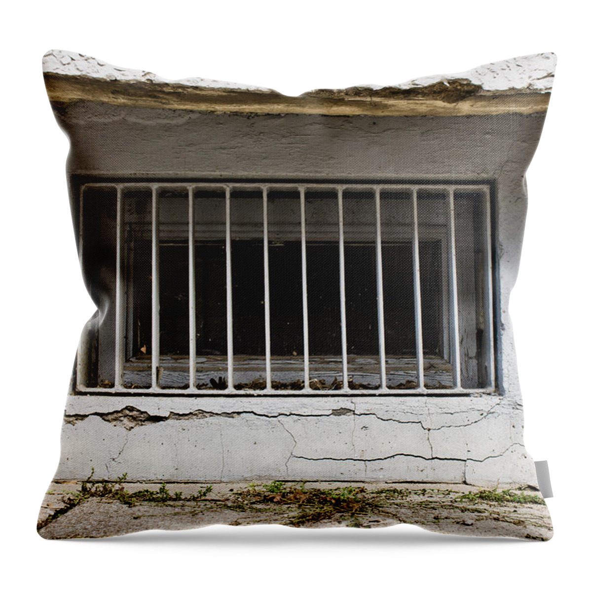 Anti-theft Throw Pillow featuring the photograph Window bars #5 by Tom Gowanlock