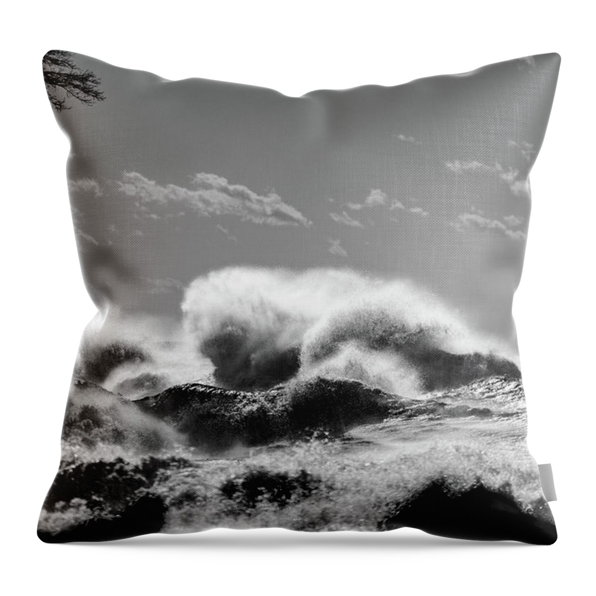 Lake Throw Pillow featuring the photograph Lake Erie Waves #50 by Dave Niedbala