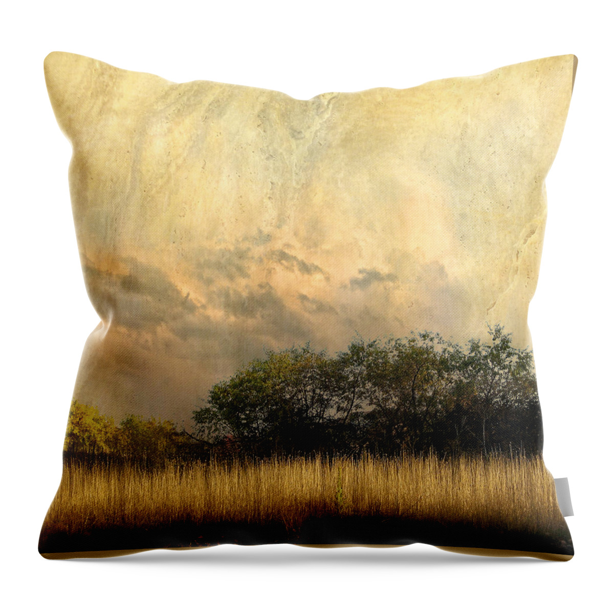 Trees Throw Pillow featuring the photograph 4145 by Peter Holme III