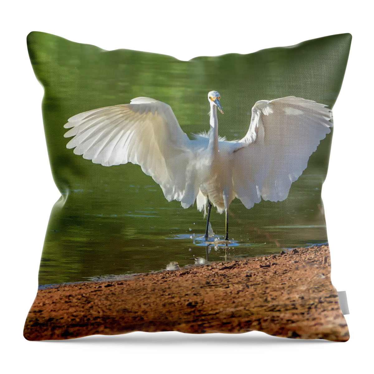 Snowy Throw Pillow featuring the photograph Snowy Egret #54 by Tam Ryan