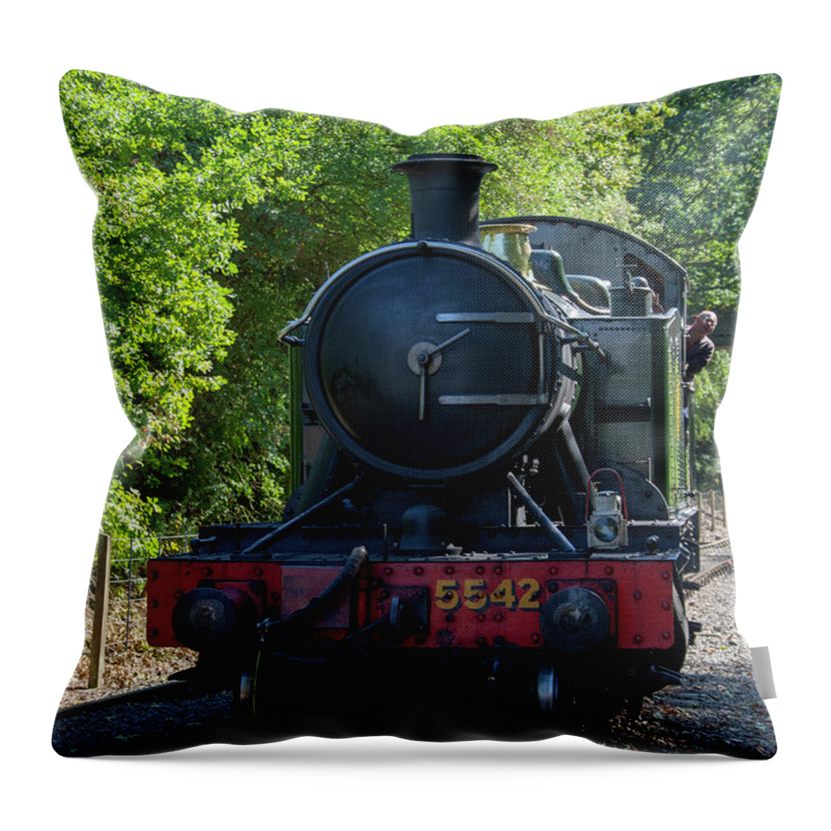Small Prairie Throw Pillow featuring the photograph 5542 On The The Points by Steev Stamford