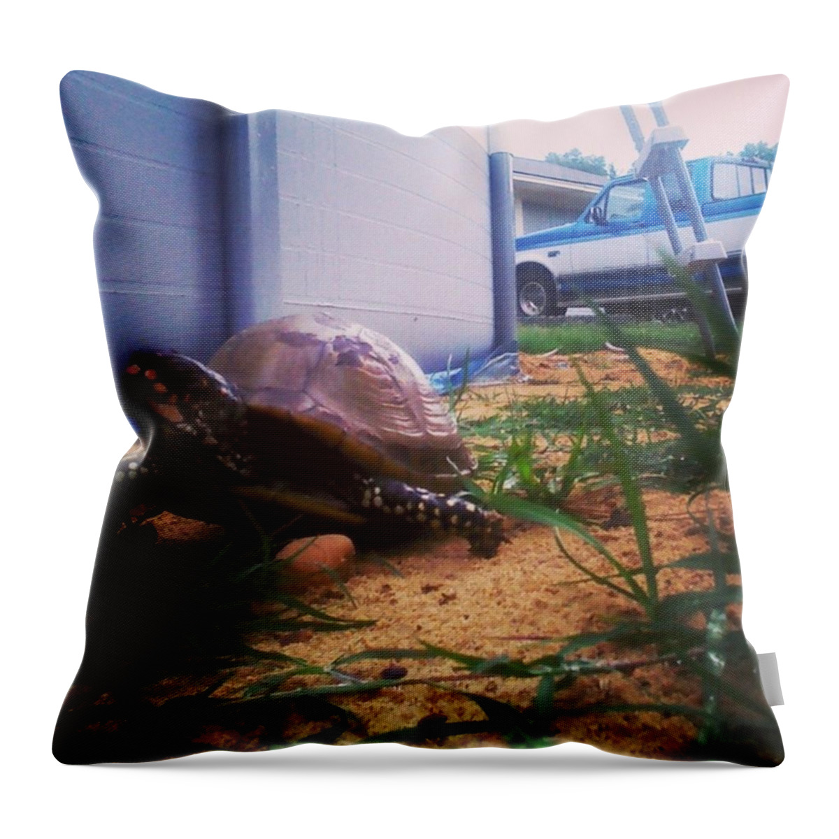 Turtle Throw Pillow featuring the photograph Run away by Haley Marie Theoboldt