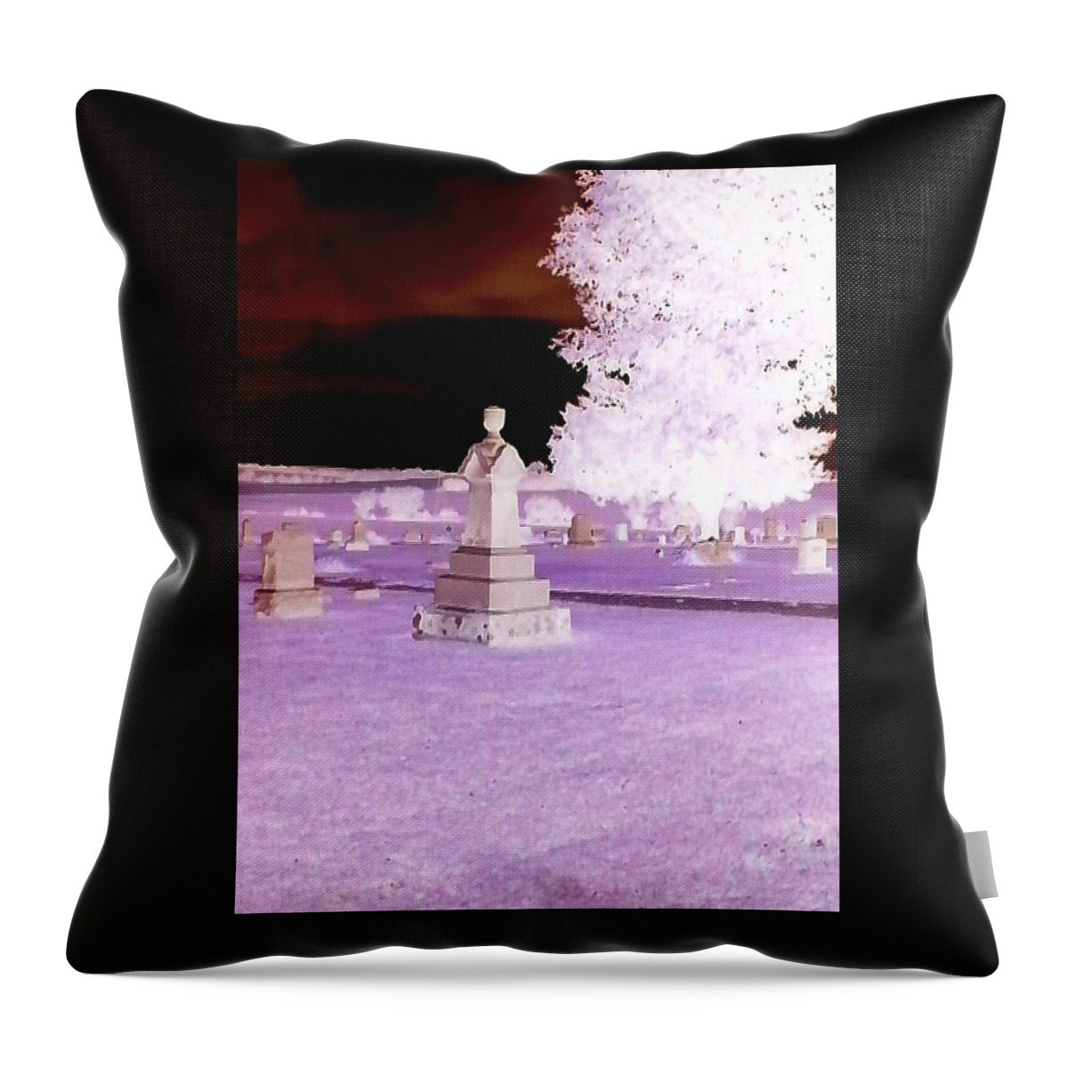 Artistic Throw Pillow featuring the photograph Artistic #59 by Mariel Mcmeeking