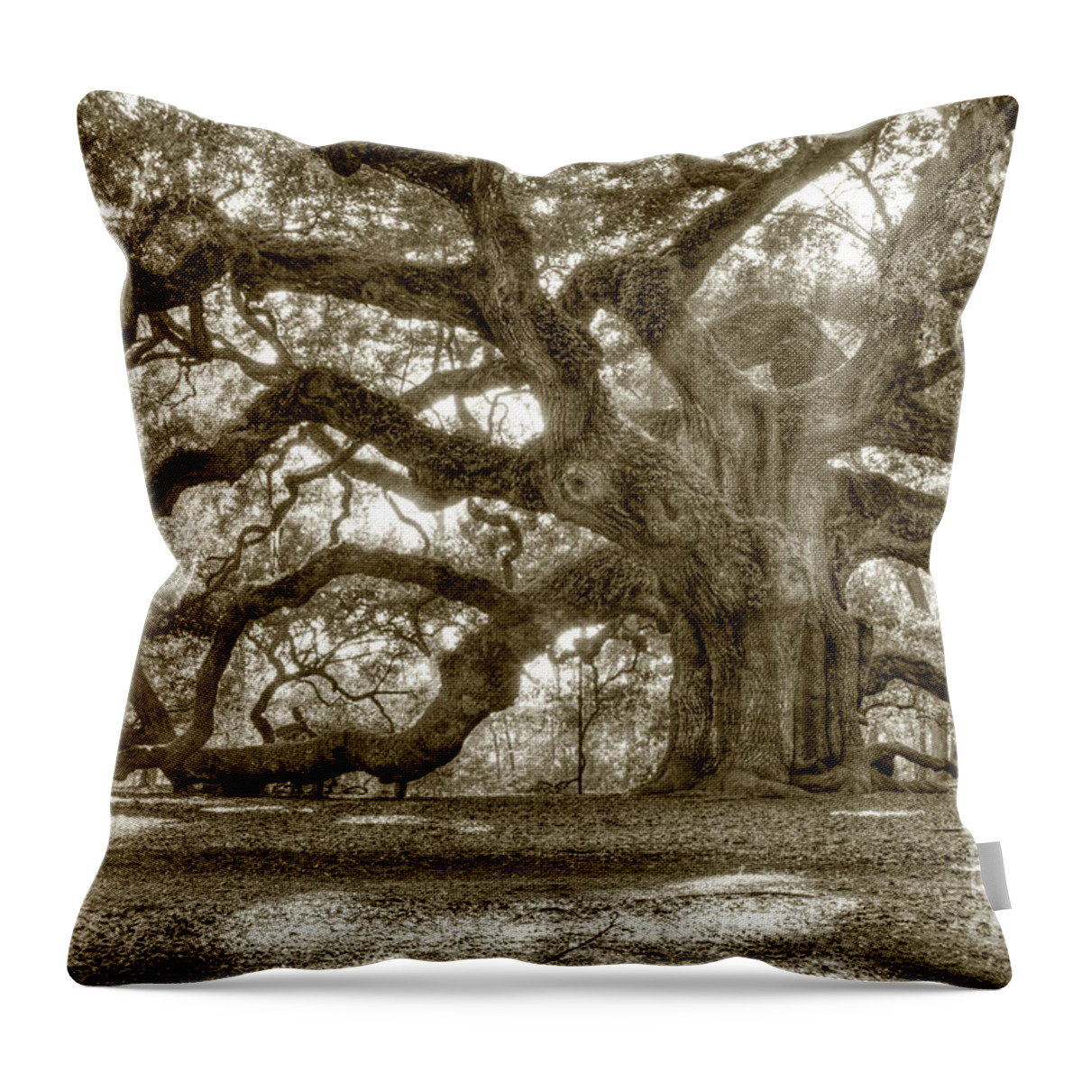 Live Oak Throw Pillow featuring the photograph Angel Oak Live Oak Tree #6 by Dustin K Ryan