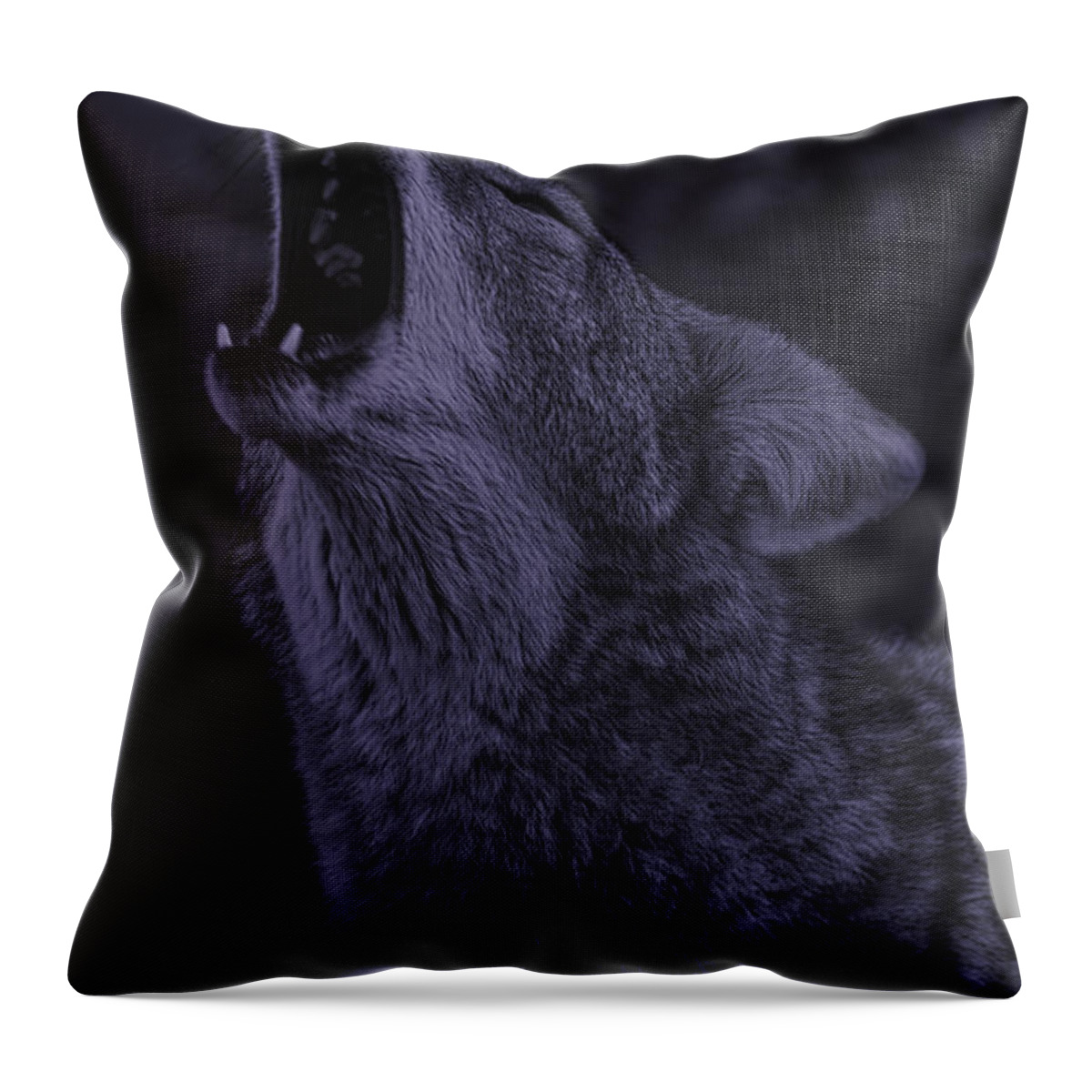 Animal Throw Pillow featuring the photograph Coyote #6 by Brian Cross