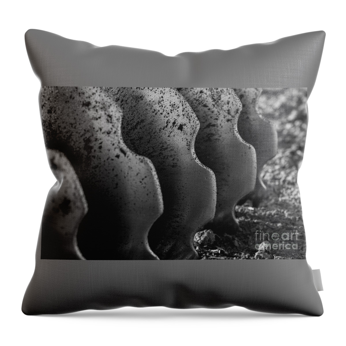 Agriculture Throw Pillow featuring the photograph Farm Equipment Abstracts #6 by Jim Corwin