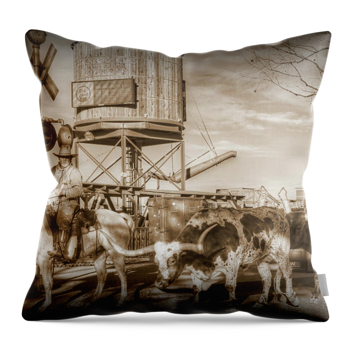 Fort Worth Texas Usa Throw Pillow featuring the photograph Fort Worth Texas USA #6 by Paul James Bannerman