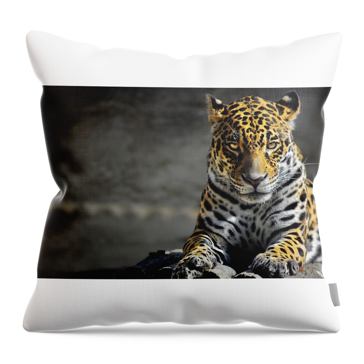 Leopard Throw Pillow featuring the digital art Leopard #6 by Super Lovely