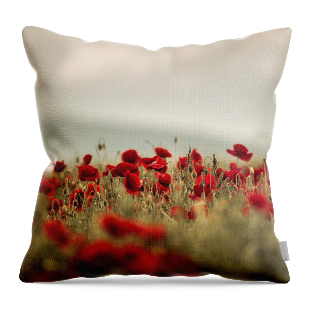 Poppy Throw Pillow featuring the photograph Summer Poppy Meadow #6 by Nailia Schwarz
