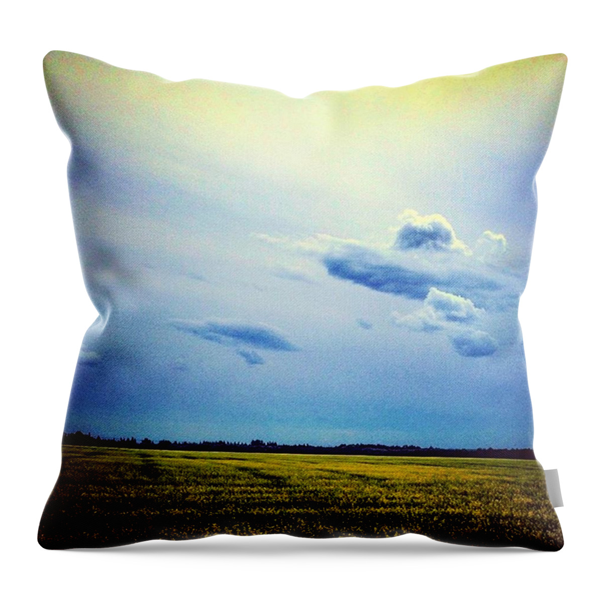 Canada Throw Pillow featuring the photograph The Whisper by Shawn Gordon