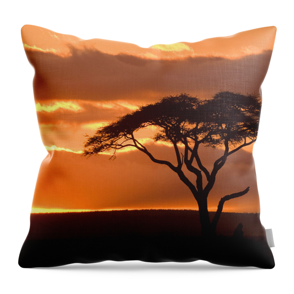 Africa Throw Pillow featuring the photograph African Sunrise #1 by Michele Burgess
