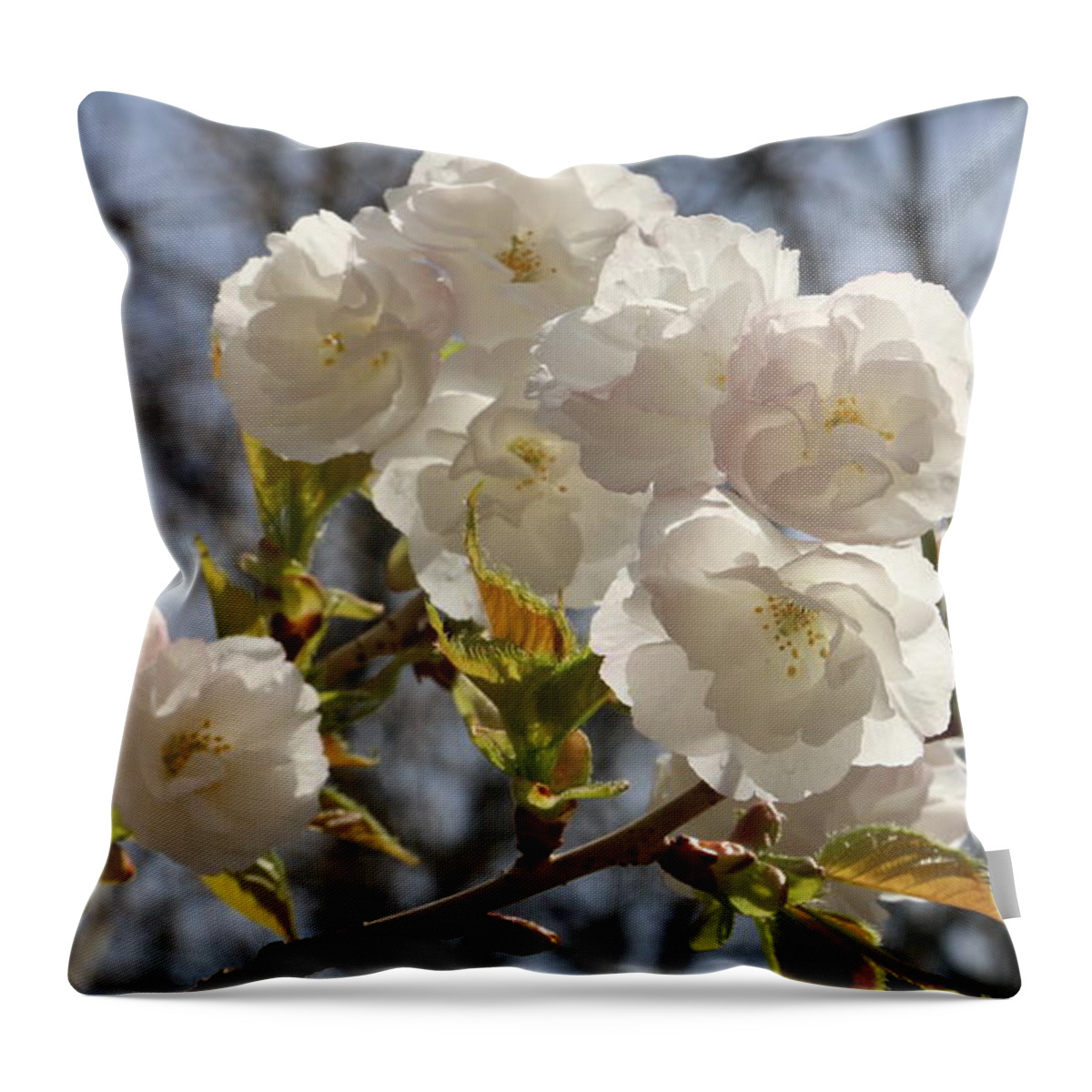 Floral Throw Pillow featuring the photograph Cherry blossom #7 by Qin Wang