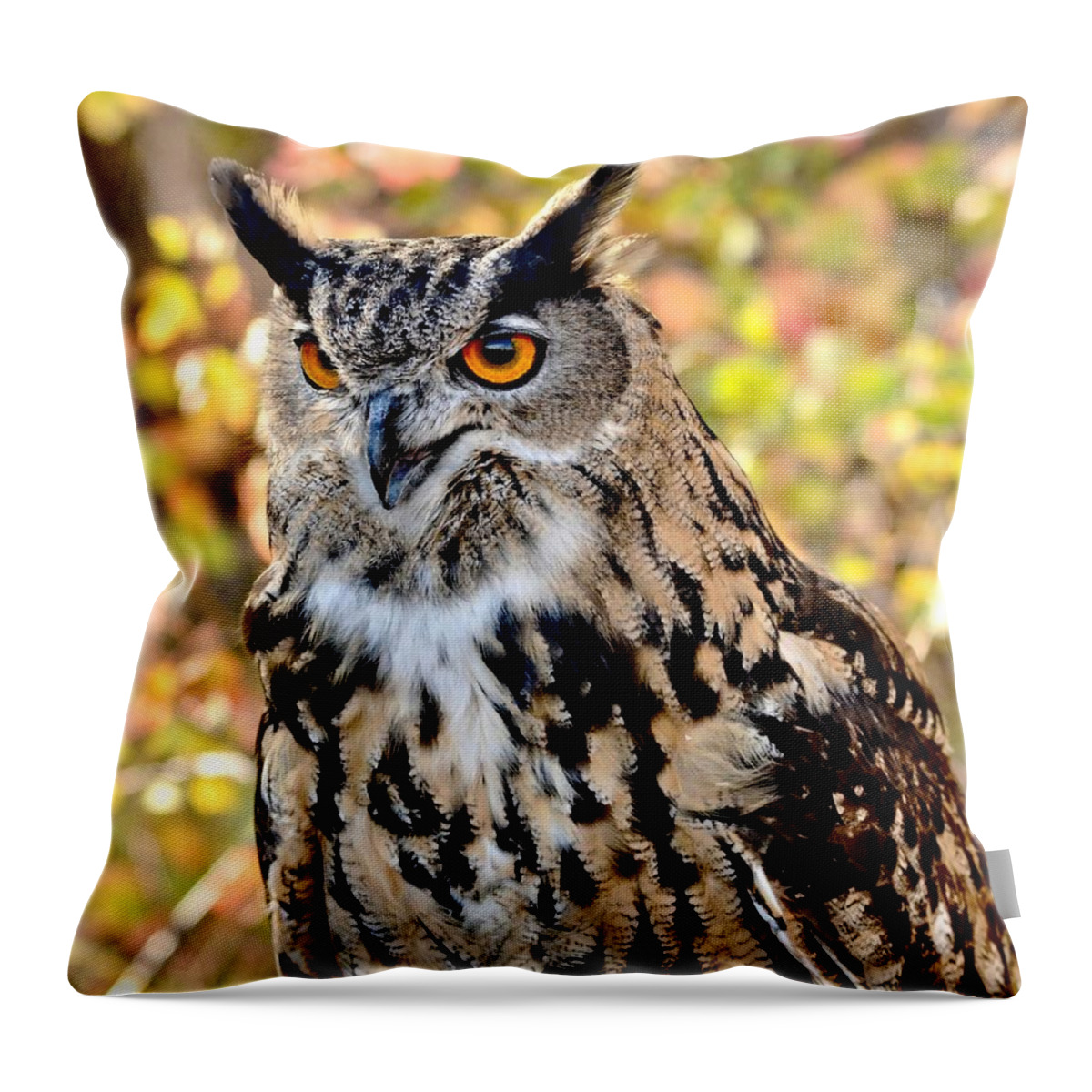 Owl Throw Pillow featuring the photograph Eurasian Eagle Owl #7 by Amy McDaniel