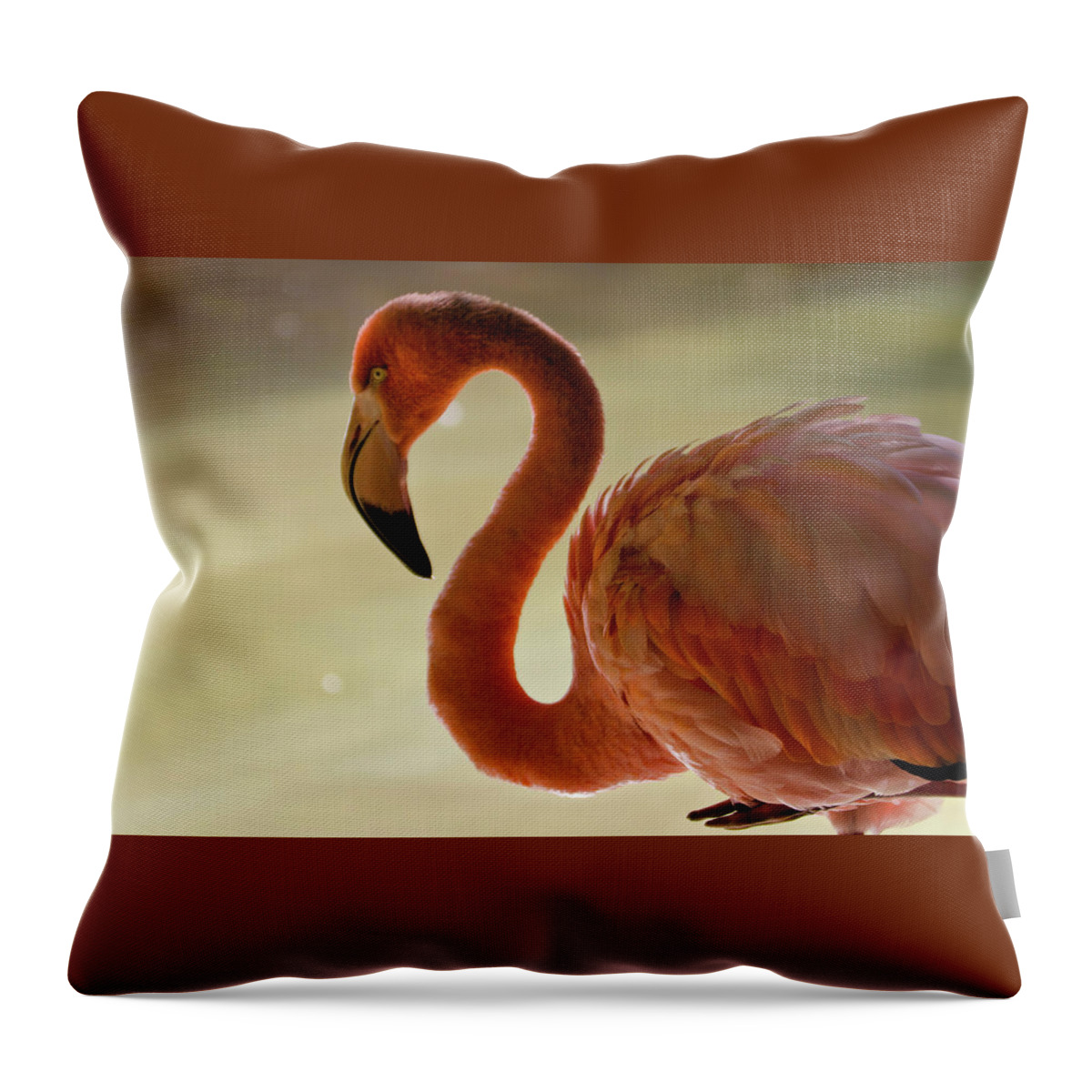 Flamingo Throw Pillow featuring the photograph Flamingo #7 by Mariel Mcmeeking