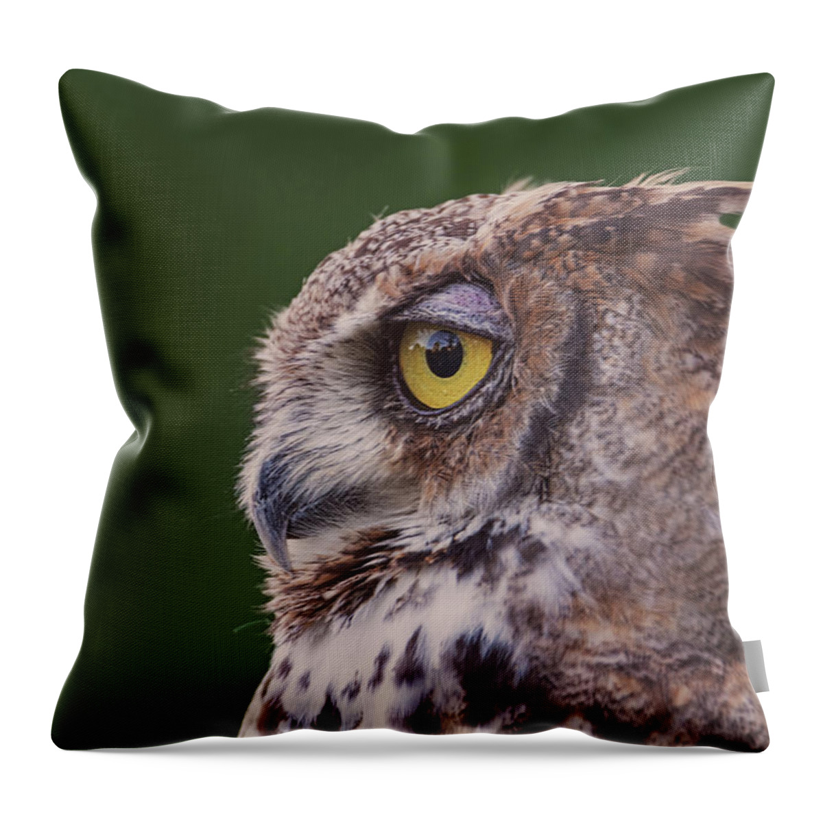 Animal Throw Pillow featuring the photograph Great Horned Owl #7 by Brian Cross