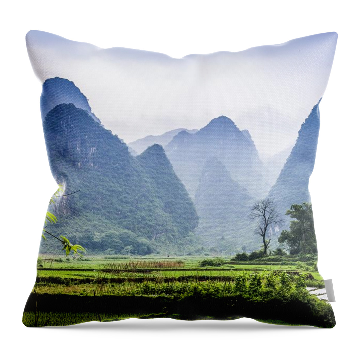 Karst Throw Pillow featuring the photograph Karst rural scenery in spring #7 by Carl Ning