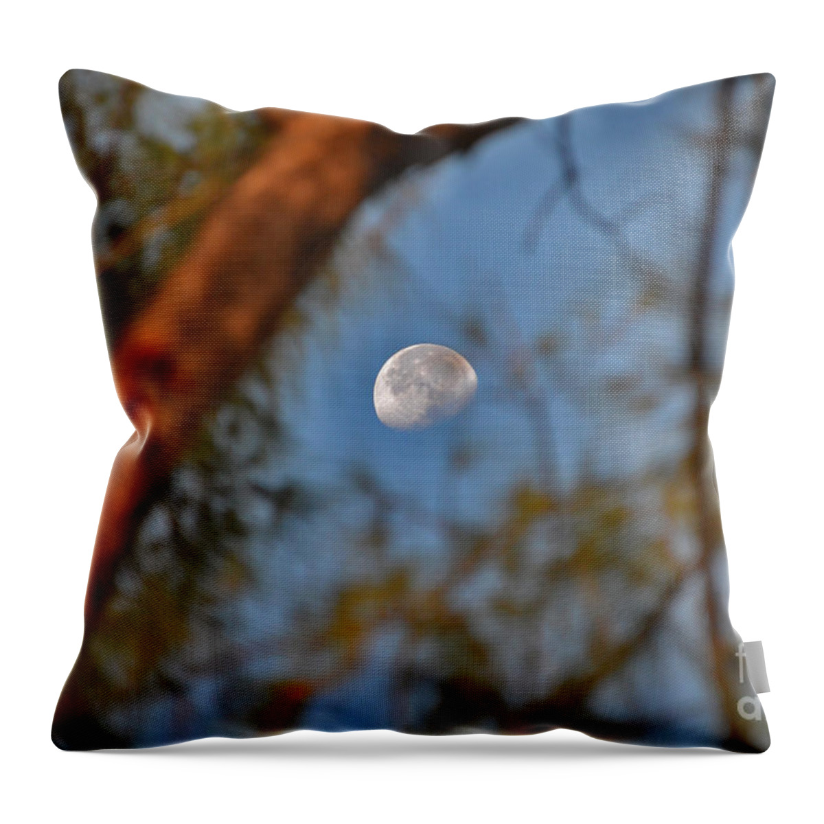 Moon Throw Pillow featuring the photograph 7- Moon Forest by Joseph Keane