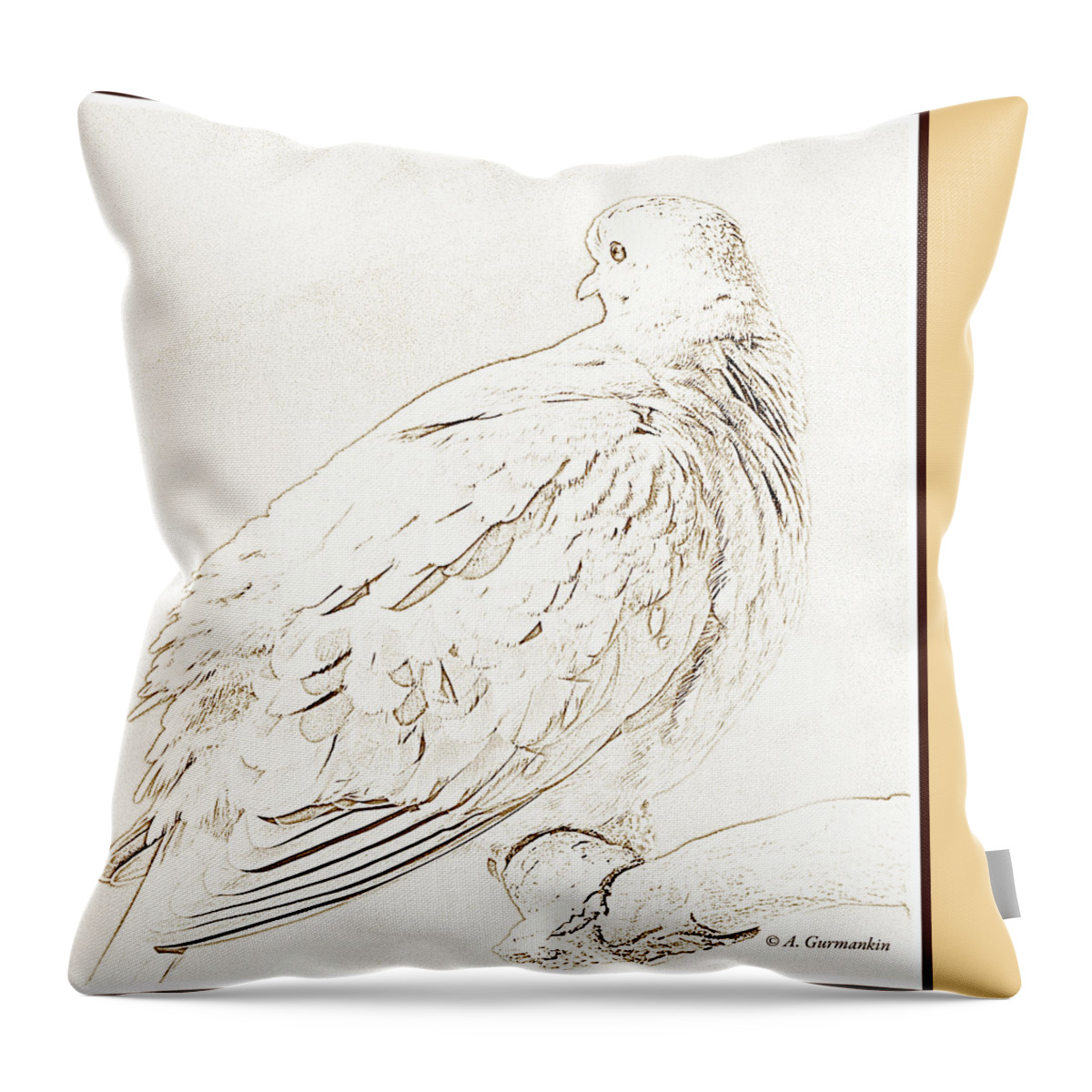 Color Throw Pillow featuring the photograph Mourning Dove, Animal Portrait #8 by A Macarthur Gurmankin