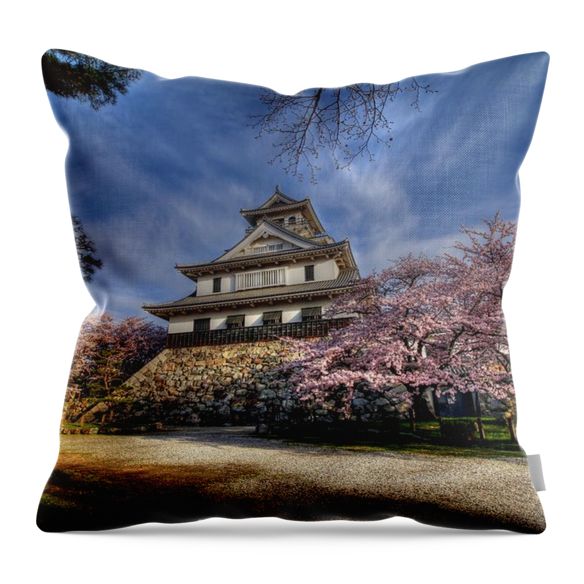 Nagahama Japan Throw Pillow featuring the photograph Nagahama Japan #7 by Paul James Bannerman