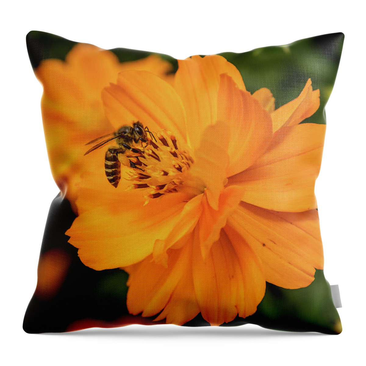 Bee Throw Pillow featuring the photograph Pollination #7 by SAURAVphoto Online Store