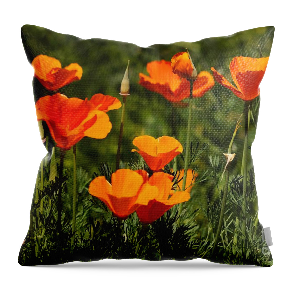 Poppies Throw Pillow featuring the photograph Poppies #7 by Marc Bittan